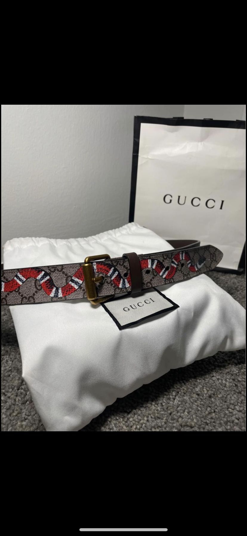 Gucci Supreme Belt with Kingsnake print 