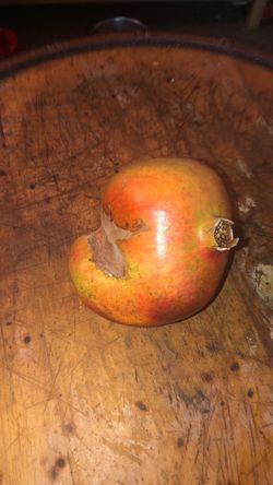 Pomegranate with oddity on side