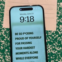 iPhone 16 Pro $400 OBO 