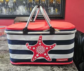 Tupperware host exclusive picnic basket