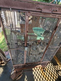 Bird cage