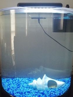 10 Gallon Half moon Aquarium
