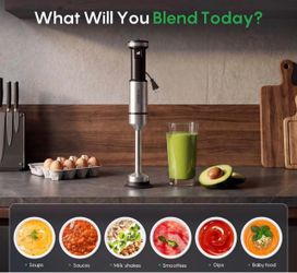 Fresko Immersion Hand Blender Stainless Steel