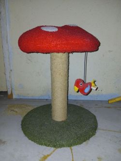 Mushroom cat scratching post used