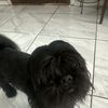 Erick