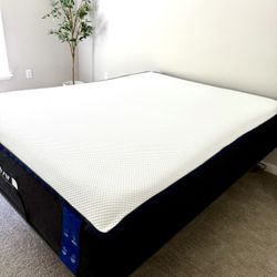 Nectar Queen Mattress (as good as new)