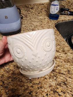 Owl Planter