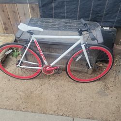 Big Shot Fixie Or Single Gear Road Bike