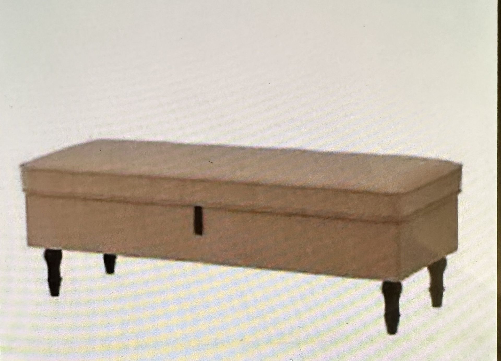 Ikea - Ottoman With Storage Or Bench