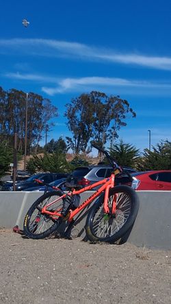 Beastmode se bike 2024