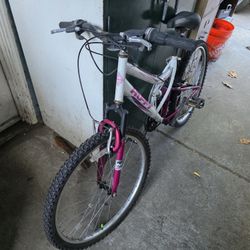 Huffy  Adult  Bike