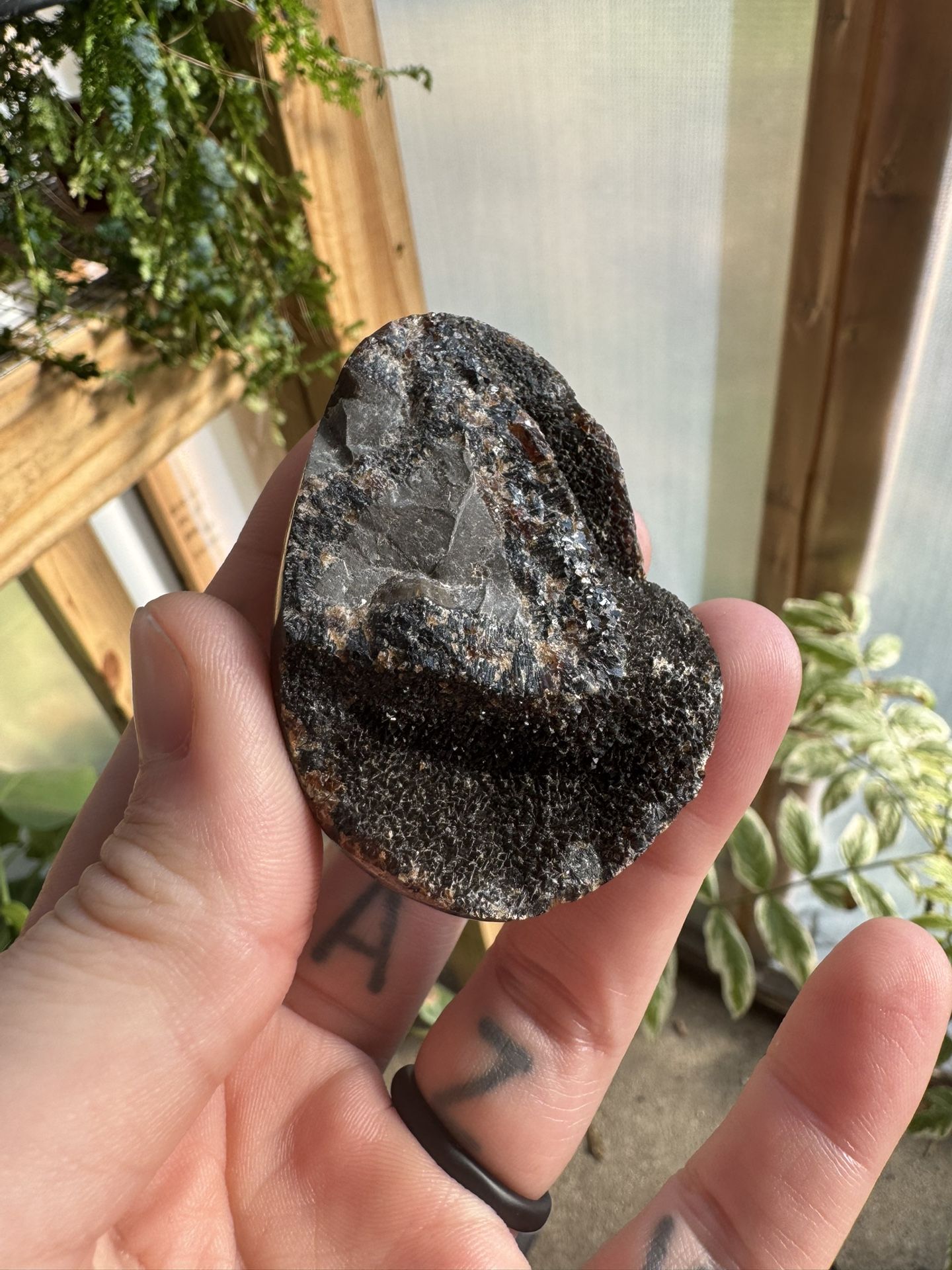 Septarian Dragon Egg