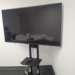 55” Toshiba TV + Rolling Stand
