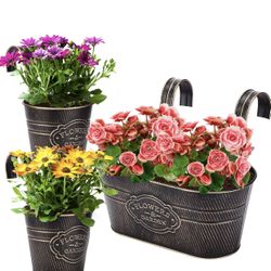 3PCS Galvanized Buckets,Vintage Metal Iron Wall Hanging Flower Pots,Farmhouse Metal Flower Vase,Herb Flower Plant Holder with Detachable Hook