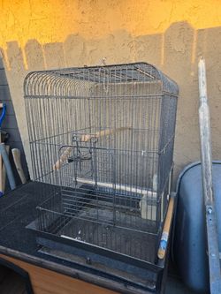 Bird Cage