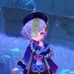 QiQi Genshin Impact Cosplay Costume