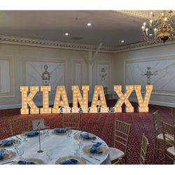 Marquee Letters And LED Butterflies 