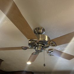 Ceiling Fans, Abanicos De Techo 