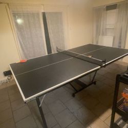 Ping Pong Table