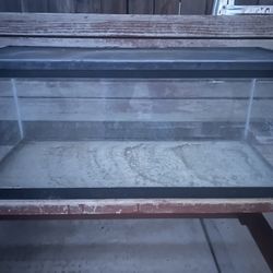 20 Gallon long Fish Tank 