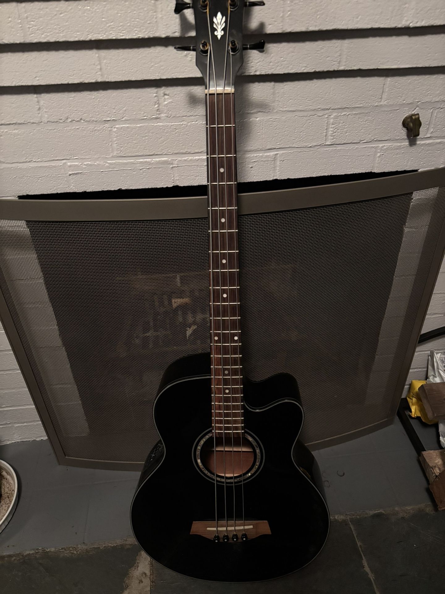 Ibanez Acoustic Electric Bass Guitar 