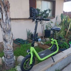 Electric Scooter 