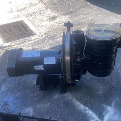 Pool Pump 1.25 Sta-Rite