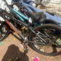 Bikes For Sale 