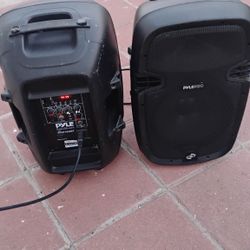 Pyle PPHP1049KT 10 inch speaker 
