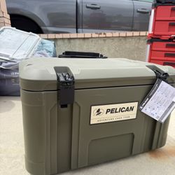 Pelican adventure case Tx80