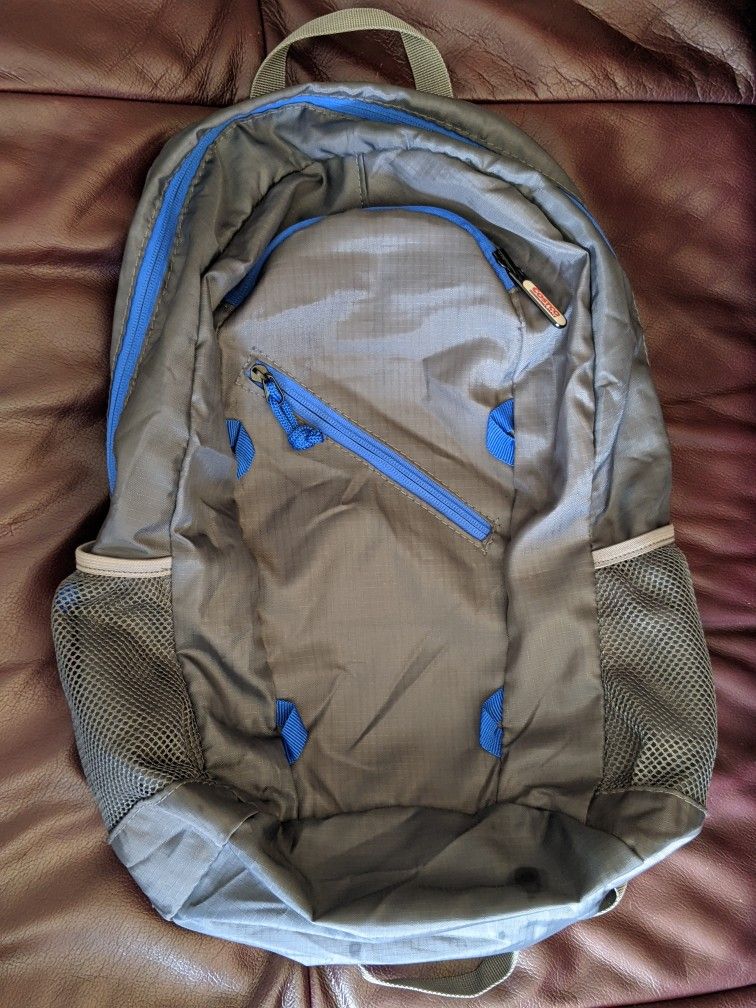 Grey Costco Backpack