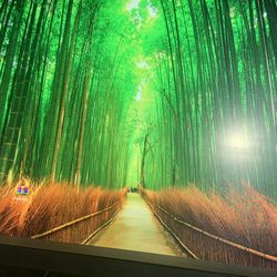 24.5’ Gaming Monitor