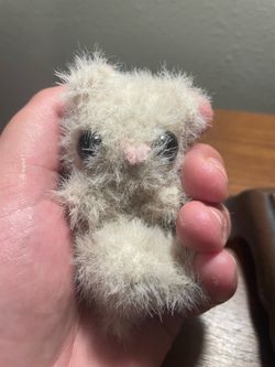 Fuzzy Worry Cat