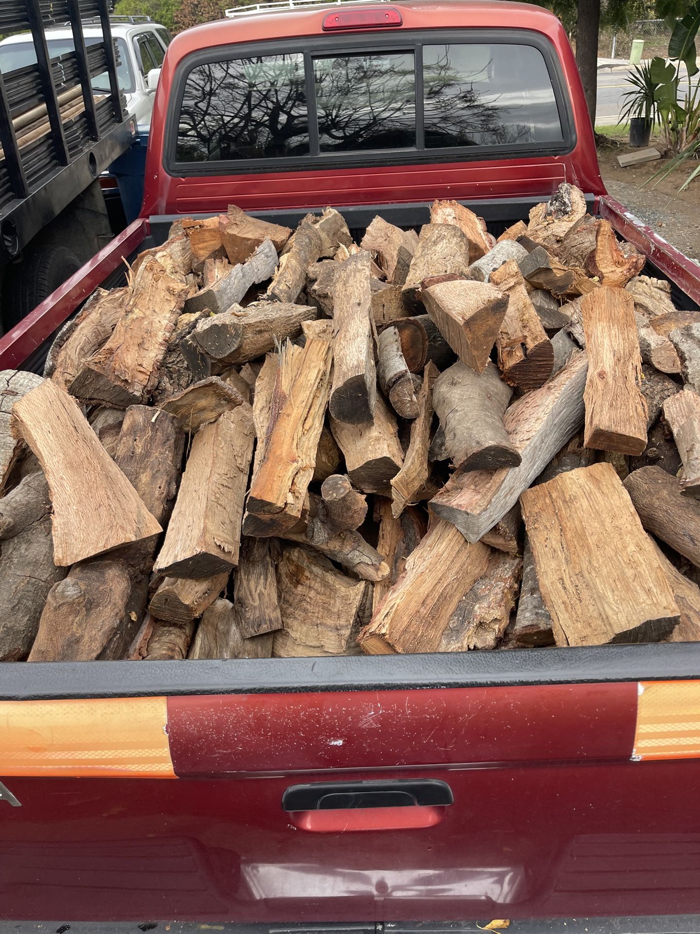 Oak And Eucalyptus Fire