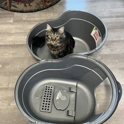 Large Cat Litter Box