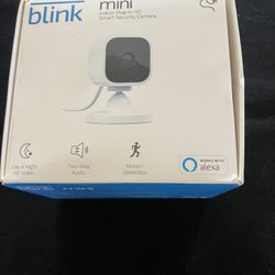 Blink Mini Camera