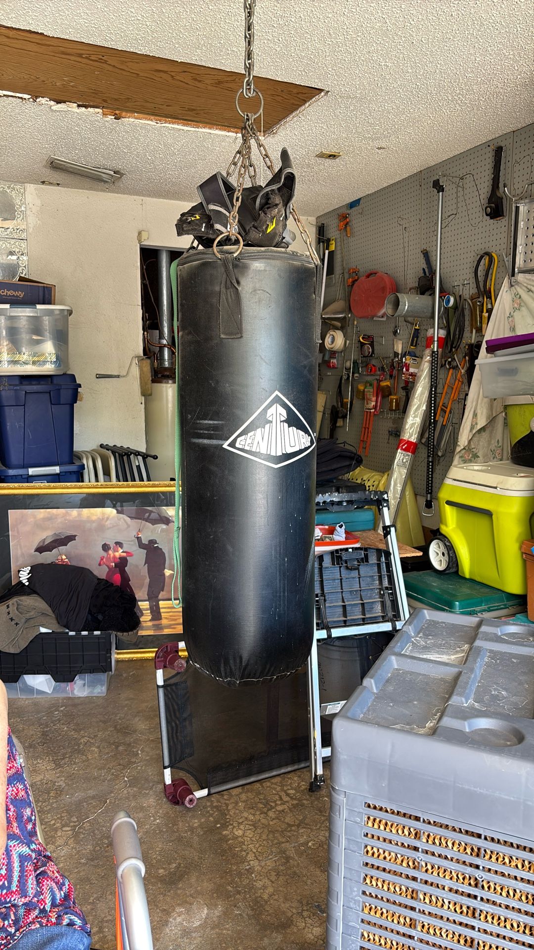 Century Punching Bag