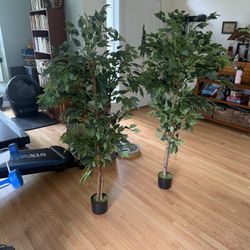 Fake Plants 