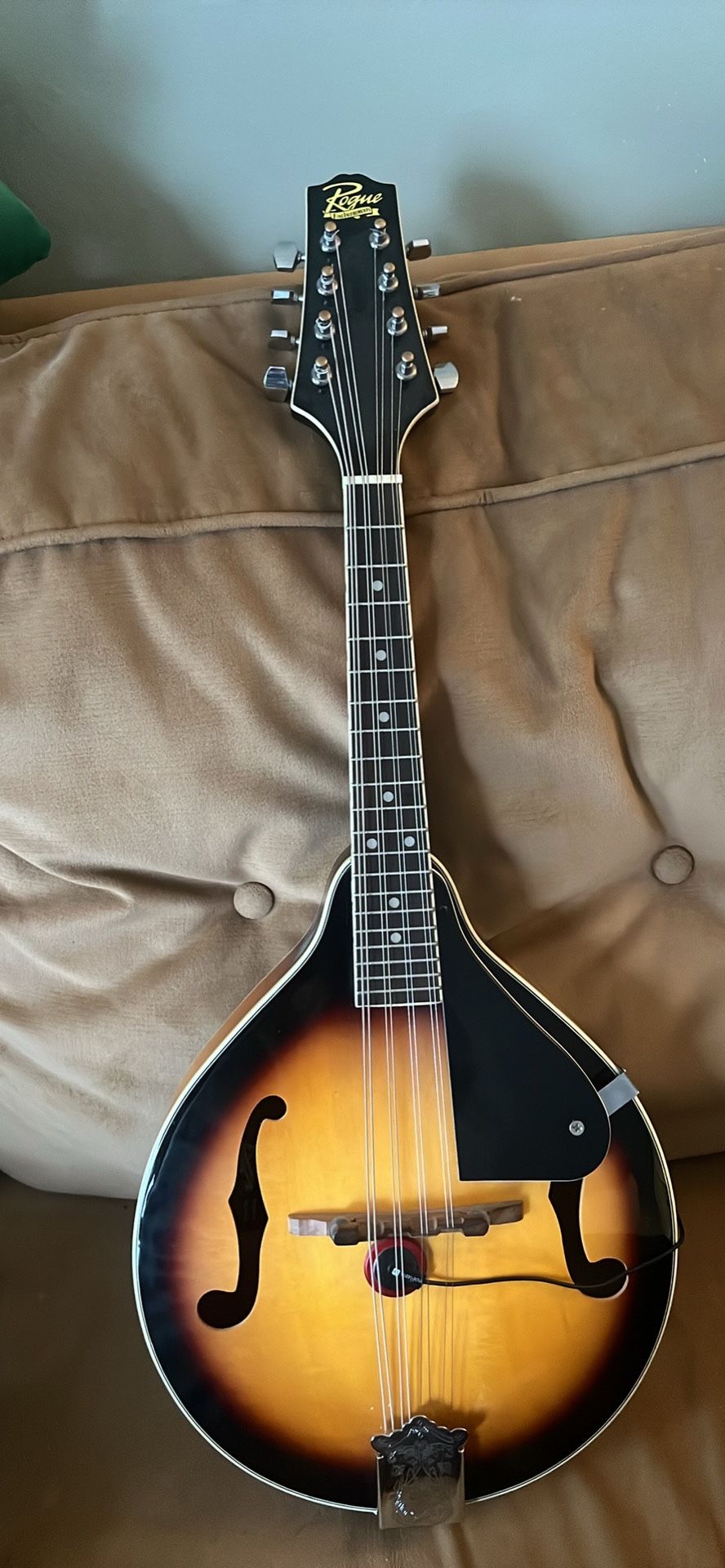 Rogue Brand Mandolin With Self Adhered Electric Pickup (removable)