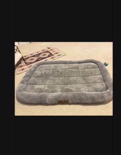 Dog Bed large
