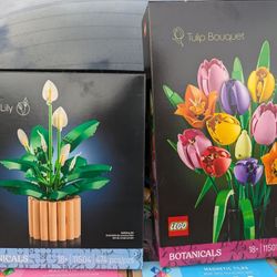 Lego botanicals 2 Sets 