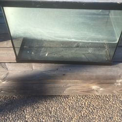 Decently Big Fish Tank