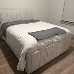 BRAND NEW QUEEN BEDFRAME - MUST GO 
