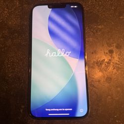 iPhone 13 Pro Max 300 FIRM