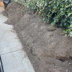 FREE FREE FREE CLEAN LOOSE DIRT