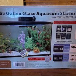 Aqua Culture 55-Gallon Glass Aquarium Starter Kit