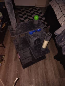 cat tree