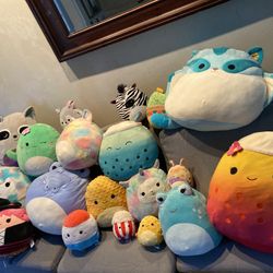 Squishmallow Collection