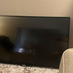 45 Inch TV