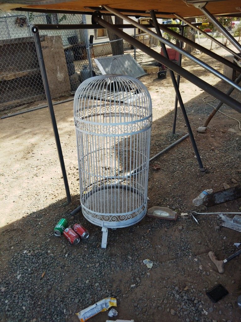 Bird Cage